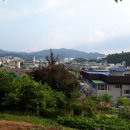 분덕재농장 Daum카페