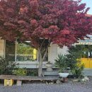 가든국밥 | 김해 대동면 맛집 친구가든 :: 녹두삼계탕 돼지국밥 추천 후기