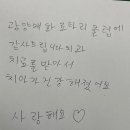 매화치과의원 Daum카페