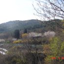 금우농장 이미지