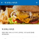 빅브릭스바이츠(Big Bricks Bites) 네이버블로그