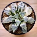 화정농장 이미지