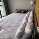 라모타A 이미지