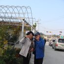 흥덕초교 이미지