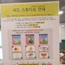 파크하비오 키즈카페 씨드랜드 씨드스튜디오 영어쿠킹클래스 후기