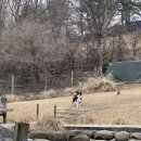 GS25 양주송추점 | 양주 애견카페 강아지 운동장 네이처독 의정부도 가까워