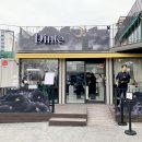 고광컬렉션 | 성수 서울숲 팝업스토어 딘토(dinto) 틴트 섀도우 신상 발색 후기