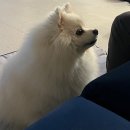 인천가좌밧데리 | [인천 테니스] 열우물테니스장 실내 예약 방법 및 주차 비용 등 꿀팁까지! (feat. 찐 방문 후기) 🎾