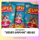[모래사용후기] 묘한생각 슈퍼카사바 고양이 모래 내돈내산 솔직후기 장단점|무료증정 이벤트