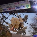 동학사 벚꽃축제 이미지
