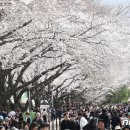 진해구 ⓒ-28 이미지