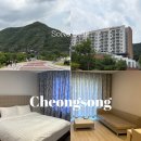 솔샘농장 | 청송 소노벨 리조트 스위트 스탠다드(취사형)｜조식, 온천, 내부시설, 리뷰