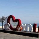 유채와바다 이미지