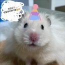 나비노래연습장 교동점 | 11월. 개추워크레용