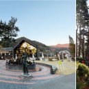 피콕빌리지 펜션 이미지