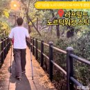 올바른 걷기 챌린지(노르딕 워킹) | 배봉산 둘레길 러프필드 노르딕워킹 스틱 걷기운동 폴 추천 효과 후기