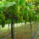 노을 그린 바다 펜션 이미지