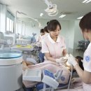 강동대로 이미지