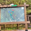 솔오름주차장 이미지