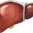 경화헬스 이미지