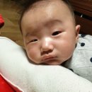 예담떡방 - 남동구 만수로 79 | 예담떡방
