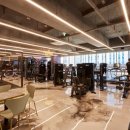 짐앤골프 이미지