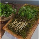 매곡농장 이미지