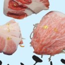 남양참치 이미지