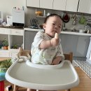 도리도리 젬