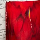 송인숙 | 의심하지 않기로 택한 진실의 대가 - 『홍학의 자리』