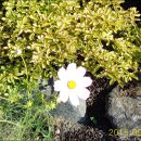 동구청소년자연수련원 이미지