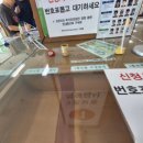운전면허시험장(특수시험장) | 온라인 운전면허 적성검사 갱신 실패? 강남운전면허시험장 현장 방문 후기 및 발급 꿀팁!