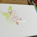 수채일러스트 캘리그라피(오전) 이미지