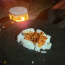 용인랜드 숲속캠핑장 네이버블로그