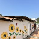 법수초등학교 | 함안 제13회 강주 해바라기 축제 실시간 개화 상황 및 개화 시기, 주차장 위치 및 셔틀 정보, 6...