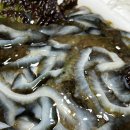 정정수산 이미지