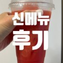 메가커피 신메뉴 수박주스 오미자스무디 샤인머스켓 가격 칼로리