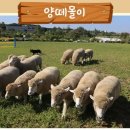 팜랜드