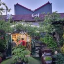 봄내멸치쌈밥 이미지