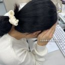 비타민디 효능 결핍 증상 관리 후기