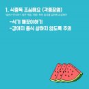 리멤버파크 이미지