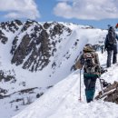 Top groomer 이미지