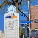 서여고 앞 이미지