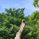 담양오방길3코스(습지길) 이미지