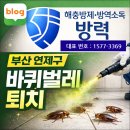 방력 | 부산방역업체 방력, 부산 연제구 식당 바퀴벌레퇴치 제대로 해결한 방법