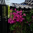 풍경(風景) 이미지