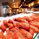 플렉스(FLEX) 이미지