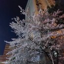 퍼펙트싱어 동전노래연습장 이미지