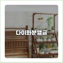 화초 - 동구 | 장기 사용 후기, 화초 다이 화분 앵글의 놀라운 변화