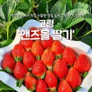 앤즈(&z)